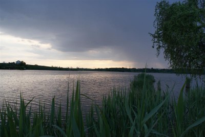 DSC01543 (Medium).JPG