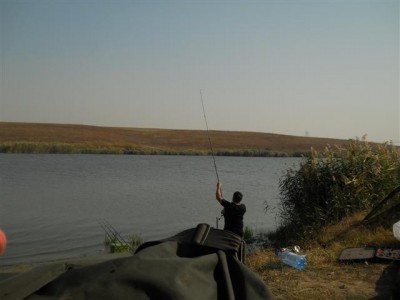 Picture 090 (Small).jpg