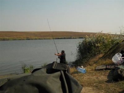 Picture 091 (Small).jpg