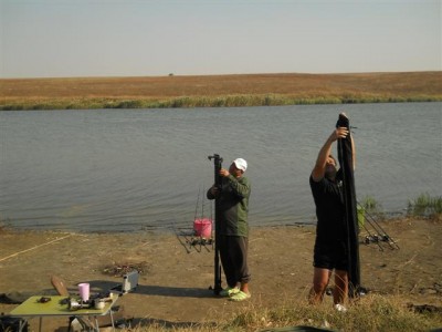 Picture 101 (Small).jpg