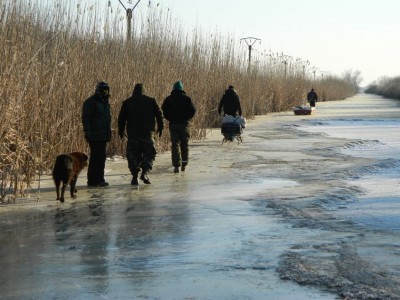 delta feb 2012.jpg