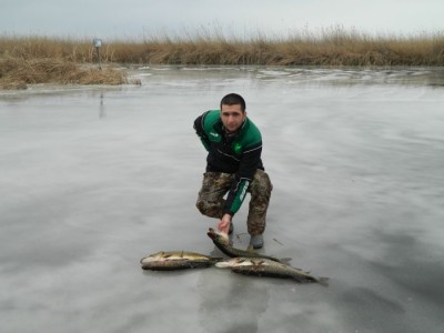 Green Lake peste tot !.jpg