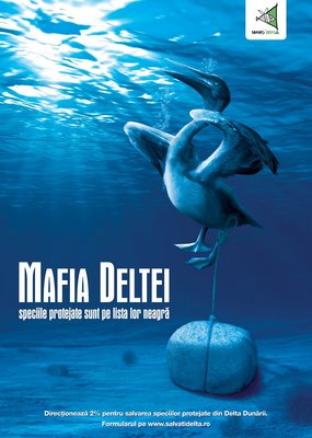 11 !-WEB--KV_Salvati-Delta_pelican2.jpg