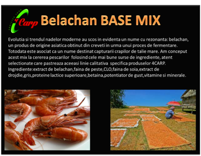 Belachan png.png