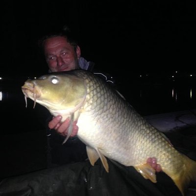 Picture 002 (Medium).jpg