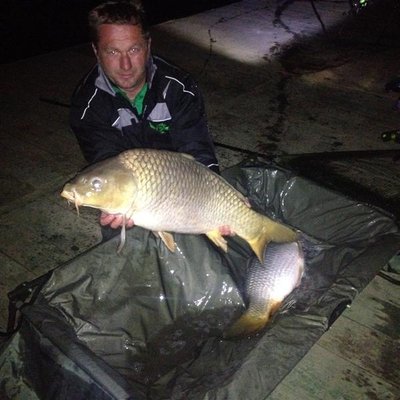 Picture 003 (Medium).jpg