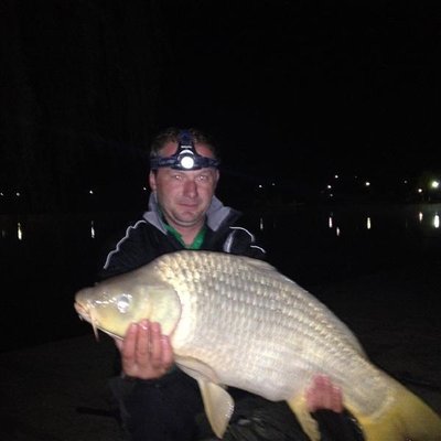 Picture 004 (Medium).jpg