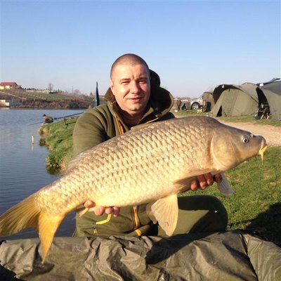 Picture 014 (Medium).jpg