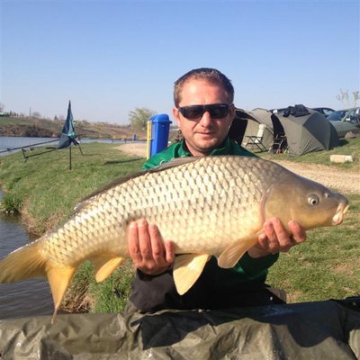 Picture 016 (Medium).jpg