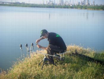 corbu poza 1.jpg