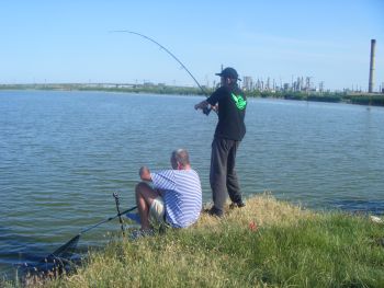 corbu poza 2.jpg