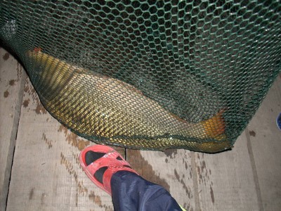 DSCN0630.JPG