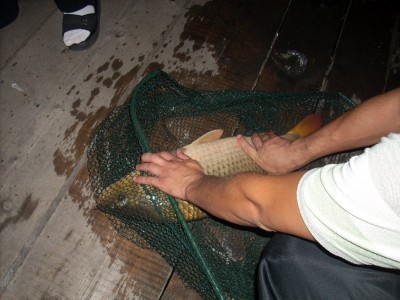 DSCN0631.JPG