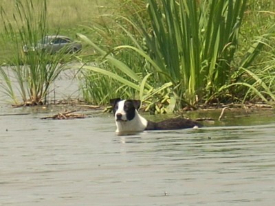 DSCN0675.JPG