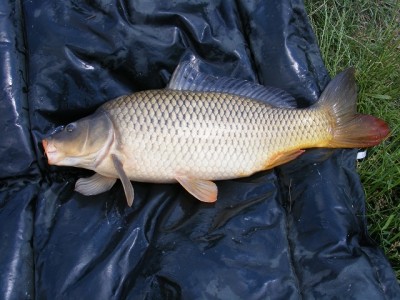 DSCF4665.JPG
