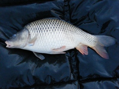 DSCF4673.JPG