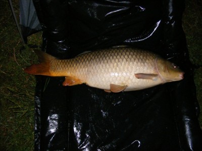 DSCF4680.JPG