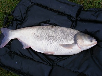DSCF4654.JPG