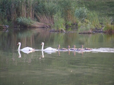 DSCF4795.JPG