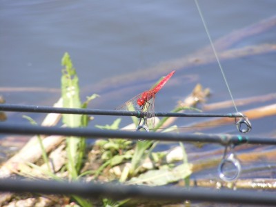 DSCF4824.JPG