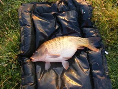 DSCF4819.JPG