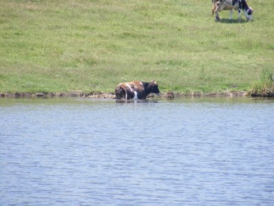 DSCF4806.JPG