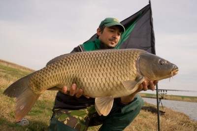 8,5 Kg.jpg