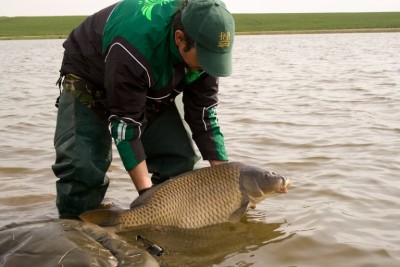 catch&release.jpg