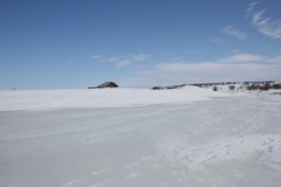 IMG_8658.jpg