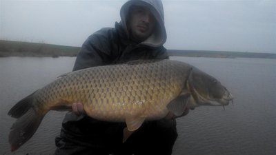 2014410074933 (Medium).jpg