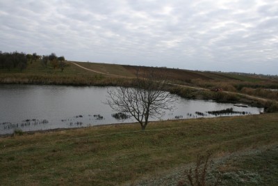 IMG_0021.JPG