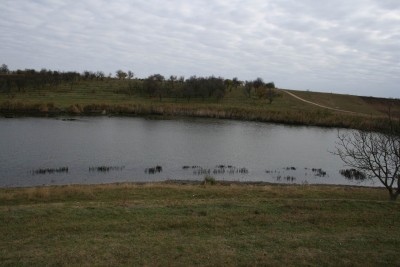 IMG_0022.JPG