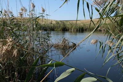 IMG_4084.JPG