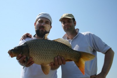 06.jpg